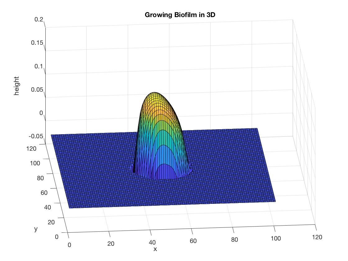 Growing3D