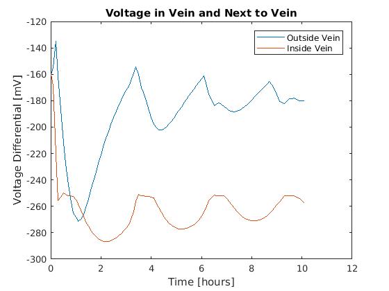 VeinOscillation