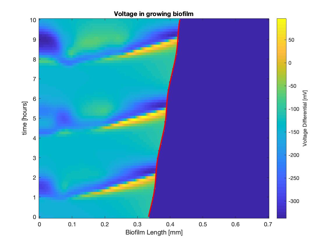 VoltageofGrowingBiofilm